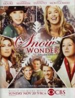 Watch Snow Wonder Putlocker