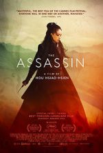 Watch The Assassin Putlocker