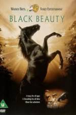 Watch Black Beauty Putlocker
