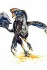 Watch National Geographic Wild : Evolutions Last Living Dinosaur Putlocker