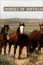 Watch Horses of Suffield Putlocker
