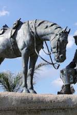 Watch War Horse: The Real Story Putlocker