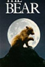 Watch The Bear - (L'ours) Putlocker