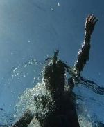 Watch The Swim Putlocker