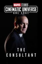 Watch Marvel One-Shot: The Consultant Putlocker
