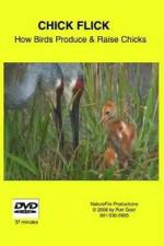 Watch Chick Flick How Birds Produce and Raise Chicks Putlocker