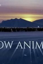 Watch Snow Animals Putlocker