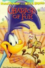 Watch Ready Woolen and Able Putlocker