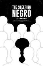 Watch The Sleeping Negro Putlocker