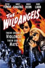 Watch The Wild Angels Putlocker