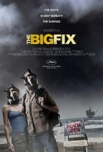 Watch The Big Fix Putlocker