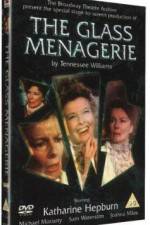Watch The Glass Menagerie Putlocker