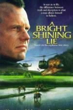 Watch A Bright Shining Lie Putlocker