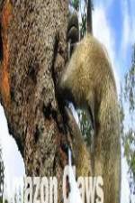 Watch National Geographic Wild Amazon Claws Putlocker