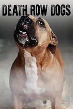 Watch Death Row Dogs Putlocker
