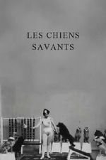 Watch Les chiens savants Putlocker