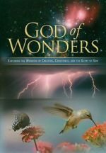 Watch God of Wonders Putlocker