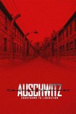 Watch Auschwitz: Countdown to Liberation Putlocker