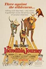 Watch The Incredible Journey Putlocker