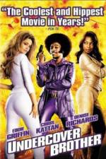 Watch Undercover Brother Putlocker
