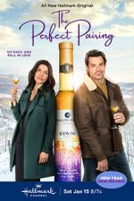 Watch The Perfect Pairing Putlocker