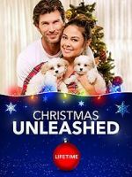 Watch A Doggone Christmas Putlocker
