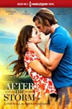 Watch After the Storm Putlocker