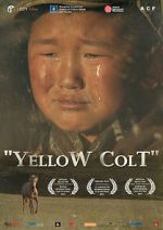 Watch Yellow Colt Putlocker