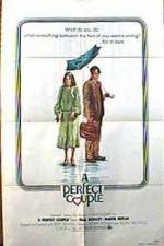 Watch A Perfect Couple Putlocker
