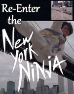 Watch Re-Enter the New York Ninja Putlocker