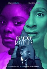 Watch The Perfect Mother Putlocker