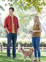 Watch Hometown Hero Putlocker