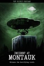 Watch Incident at Montauk Putlocker