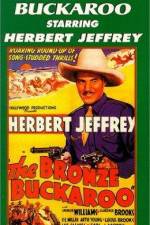 Watch The Bronze Buckaroo Putlocker