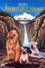 Watch Homeward Bound: The Incredible Journey Putlocker