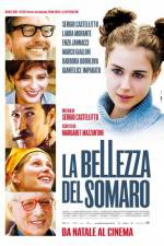 Watch La bellezza del somaro Putlocker