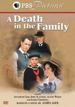 Watch A Death in the Family Putlocker