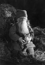 Watch Tomten Putlocker