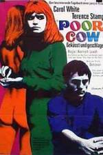 Watch Poor Cow Putlocker