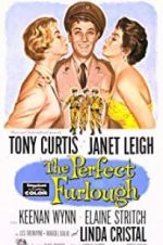 Watch The Perfect Furlough Putlocker