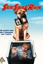 Watch See Spot Run Putlocker