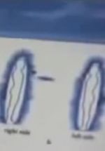 Watch Quantum Communication Putlocker