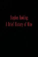 Watch Stephen Hawking A Brief History of Mine Putlocker