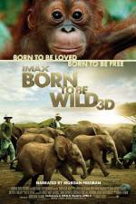 Watch Born to Be Wild Putlocker