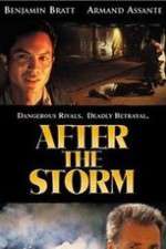 Watch After the Storm Putlocker