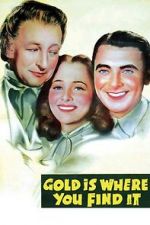 Watch Gold Is Where You Find It Putlocker