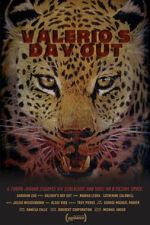 Watch Valerio\'s Day Out (Short 2019) Putlocker