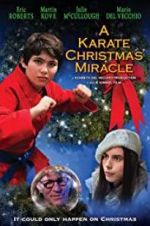 Watch A Karate Christmas Miracle Putlocker