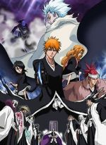 Watch Bleach the Movie 2: The Diamond Dust Rebellion Putlocker