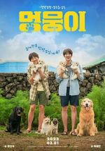 Watch My Heart Puppy Putlocker